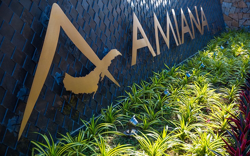 Amazing Amiana Holiday Package
