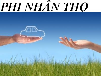 Bảo hiểm phi nhân thọ tiếp tục tăng trưởng khả quan